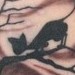 Tattoos - Black Cat Tattoo - 43376